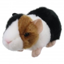 Guinea Pig - Wilberry Minis